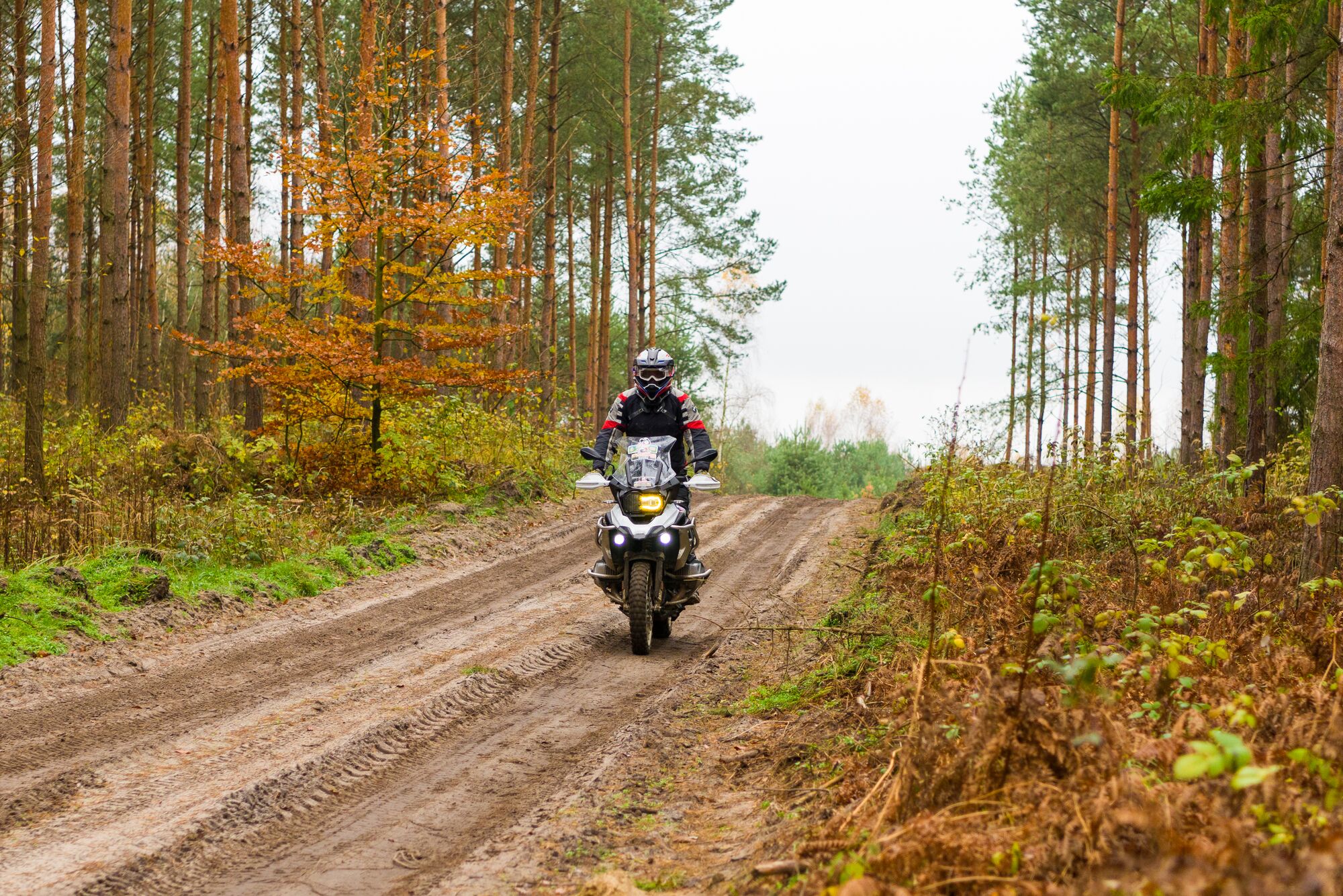 Ubojnia Nudy — Event reportażowy