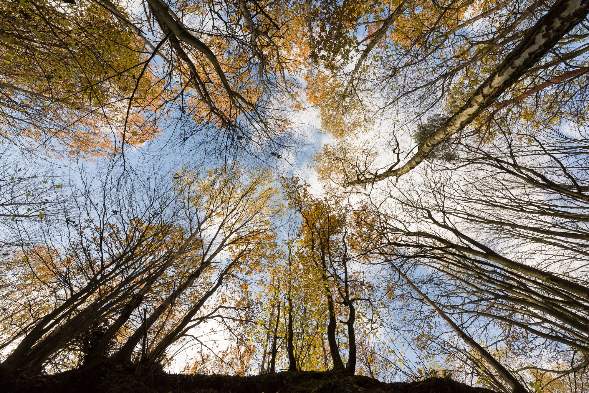 Reportage photo — Ubojnia Nudy