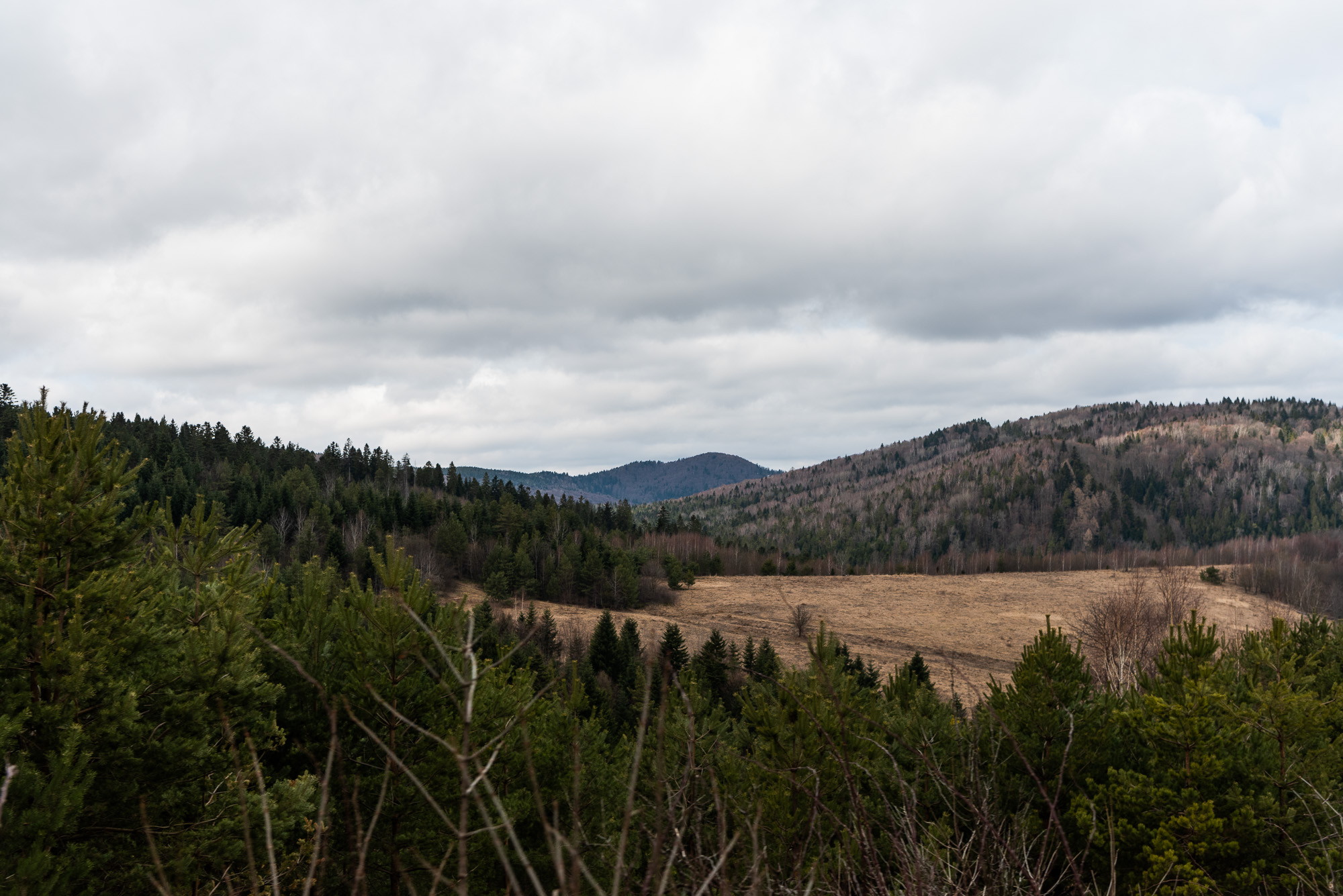 Offroad-Reportage — Przygody4x4