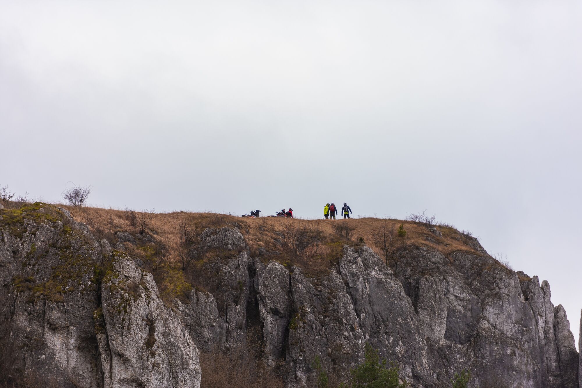 Reportage — Ubojnia Nudy sp. z o.o.